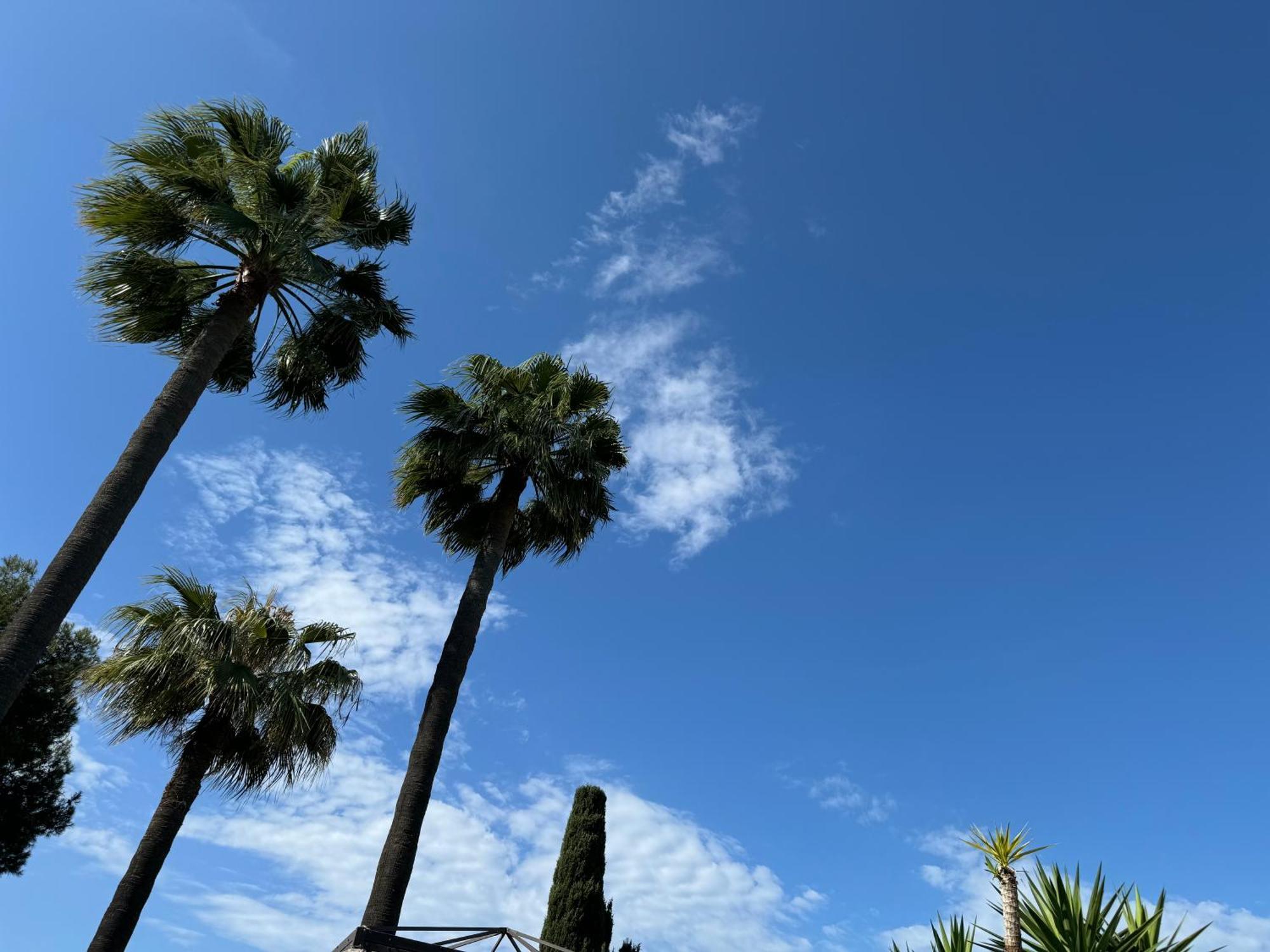 Amazing Sea View In Miraflores Apartment La Cala De Mijas